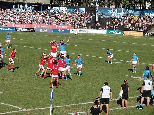 Campeonato Mundial de Rugby 2019: acesso aos estádios