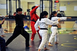 mundial infantil de taekwondo