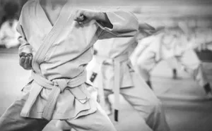 Día Mundial del Karate